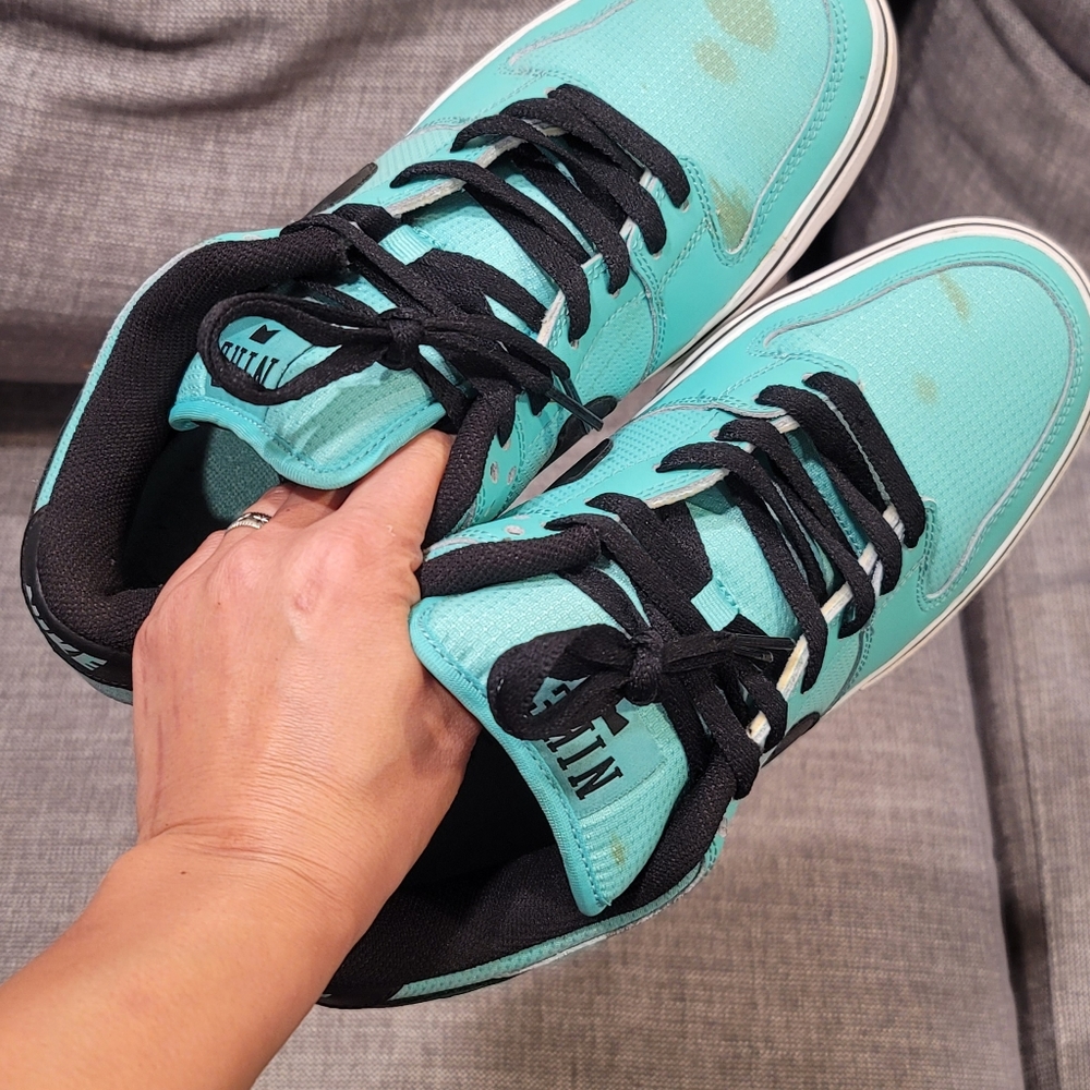 NIKE SKATE W/ ZOOM Air Sole